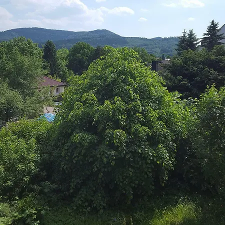 Apartament Wolfshagen Langelsheim