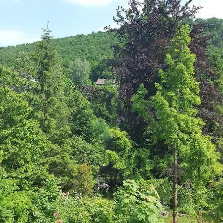 Wolfshagen Apartment Langelsheim